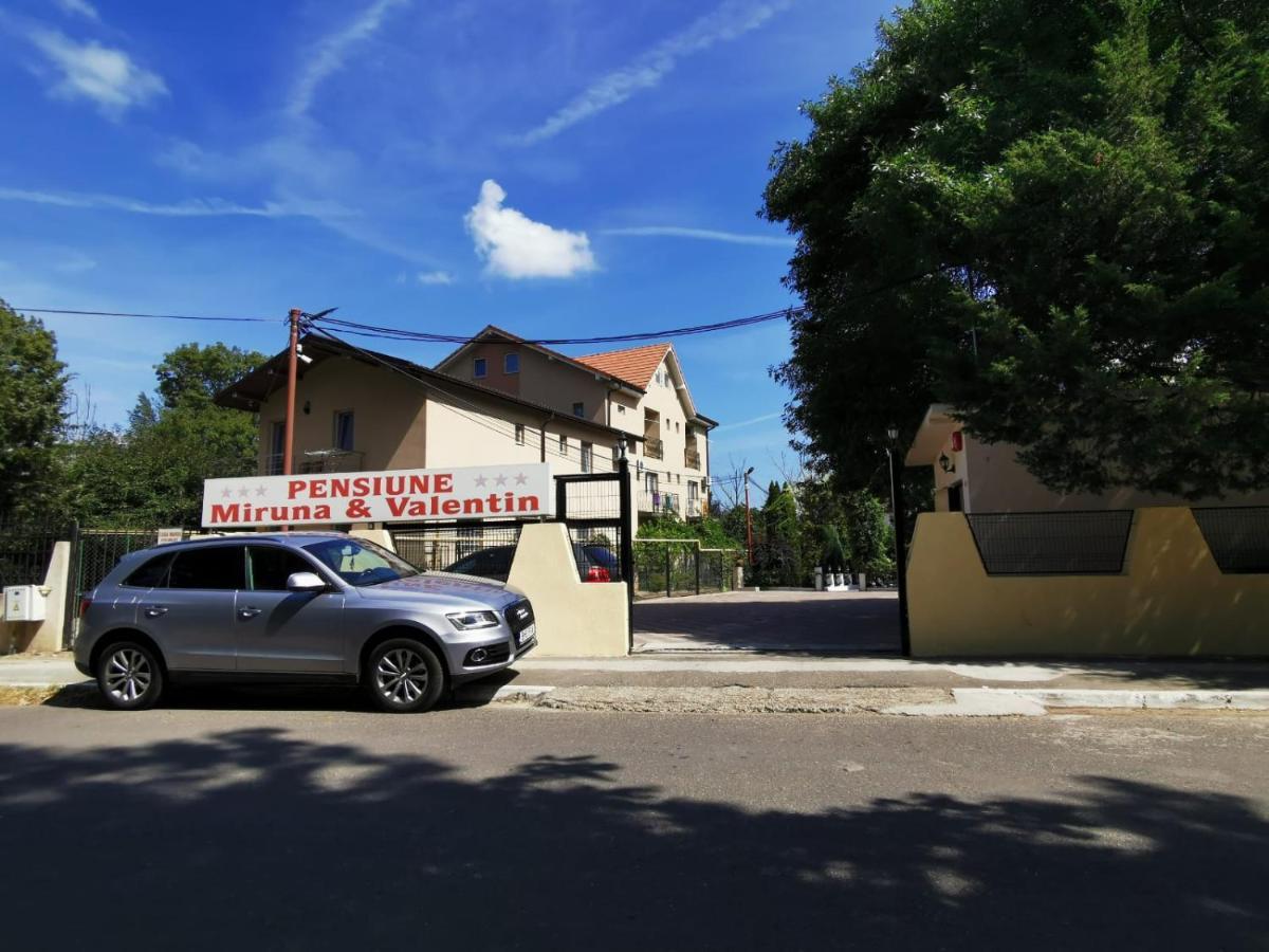 Pensiunea Miruna Valentin Jupiter Exterior foto